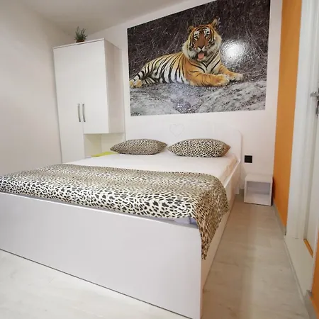 Story * Makarska